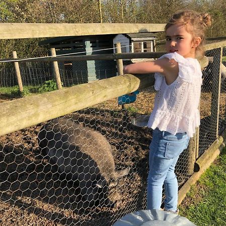 Willow Court Farm Studio East & Petting Farm, 8 Mins To Legoland & Windsor, 15 Mins To Lapland Uk Exteriér fotografie