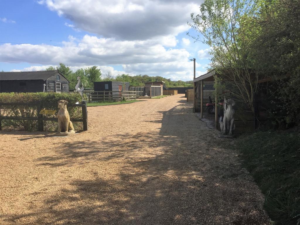 Willow Court Farm Studio East & Petting Farm, 8 Mins To Legoland & Windsor, 15 Mins To Lapland Uk Exteriér fotografie