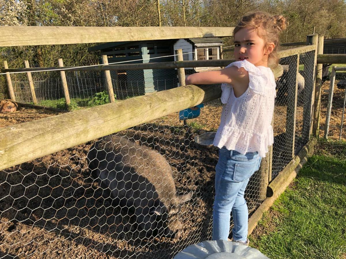 Willow Court Farm Studio East & Petting Farm, 8 Mins To Legoland & Windsor, 15 Mins To Lapland Uk Exteriér fotografie