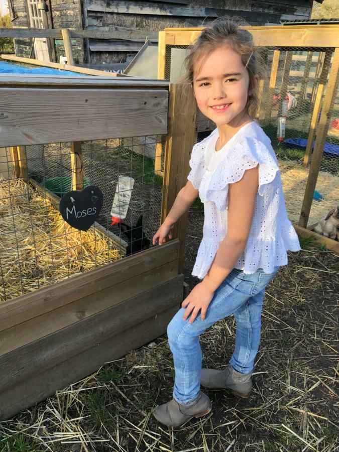 Willow Court Farm Studio East & Petting Farm, 8 Mins To Legoland & Windsor, 15 Mins To Lapland Uk Exteriér fotografie